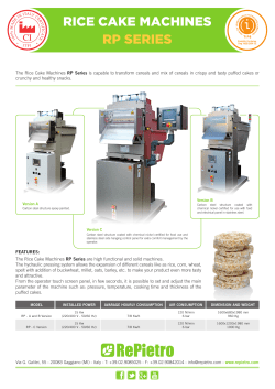 rice cake machines rp series