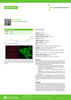 Estradiol Glow - Jena Bioscience