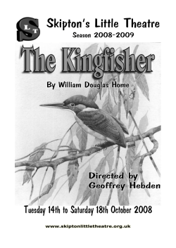 2008 Kingfisher programme