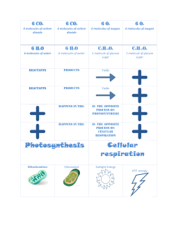 Photosynthesis Cellular respiration