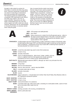 PDF of Dovetail`s Guide to Slang Terms