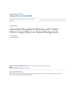 Associative Recognition Memory and Context Effects Using Objects