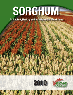 An Ancient, Healthy and Nutritious Old World Cereal. Henley, E.C.