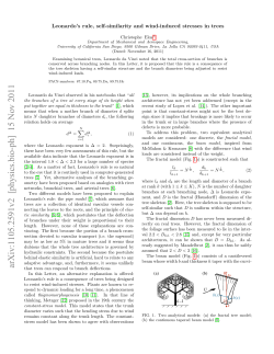 Leonardo`s rule, self-similarity and wind