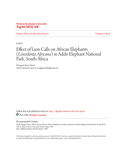 Effect of Lion Calls on African Elephants - TopSCHOLAR