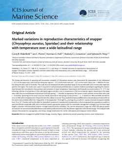 Chrysophrys auratus - ICES Journal of Marine Science