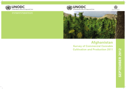Afghanistan Survey of Commercial Cannabis Cultivation and