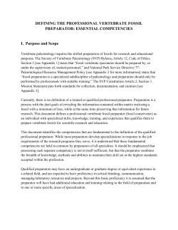 Defining the Professional Vertebrate Fossil Preparator