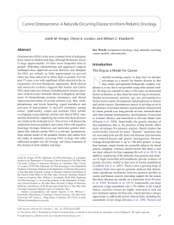 Canine Osteosarcoma - Oxford Academic