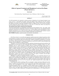 Effect of Agrosol Treatment and Phosphorus Levels on Pea Plants