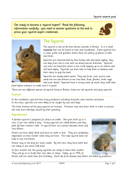 The Squirrel - Teachit Primary