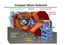 Compact Muon Solenoid