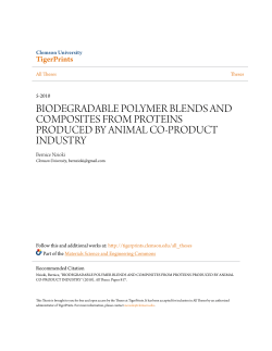 biodegradable polymer blends and composites from proteins