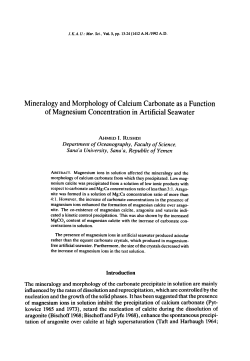 Mineralogy and Morphology of Calcium Carbonate as a Function of