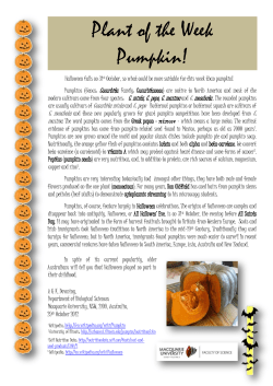 Plant of the Week Pumpkin!