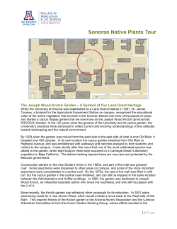 Sonoran Native Plants Tour - Campus Arboretum