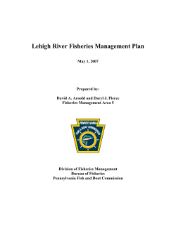 Lehigh River Fisheries Management Plan