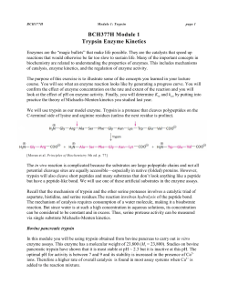 BCH377H Module 1 Trypsin Enzyme Kinetics