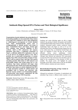 Imidazole Ring-Opened DNA Purines and Their