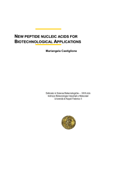 NEW PEPTIDE NUCLEIC ACIDS FOR BIOTECHNOLOGICAL