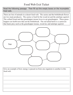 Food Web Exit Ticket