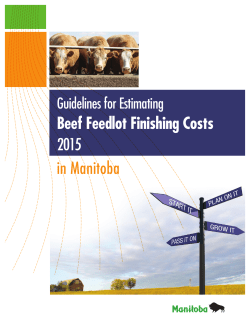 COP Beef Feedlot Finishing 650-1400