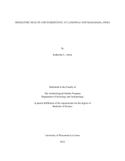 MESOLITHIC HEALTH AND SUBSISTENCE AT LANGHNAJ AND