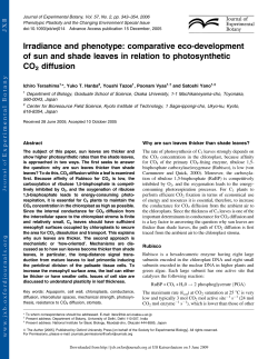 Irradiance and phenotype: comparative eco - thyssen-web