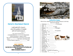 Sermon 12 Notes December 11, 2016 A Congregation of Crocodiles