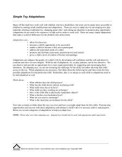 Simple Toy Adaptations