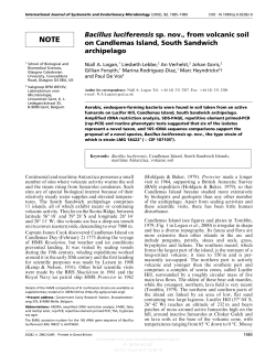 NOTE Bacillus luciferensis sp. nov., from volcanic soil on