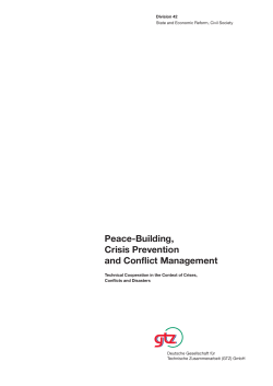 Peace-Building, Crisis Prevention and Conflict