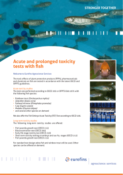 Acute and prolonged toxicity tests with fish