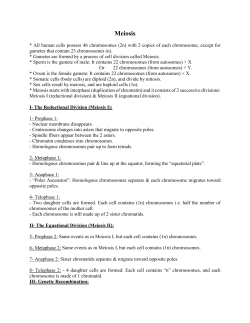 Meiosis - StudySawa