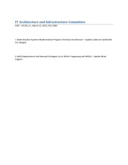 IT Architecture and Infrastructure Committee