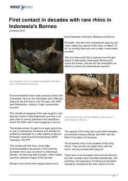 First contact in decades with rare rhino in Indonesia`s Borneo