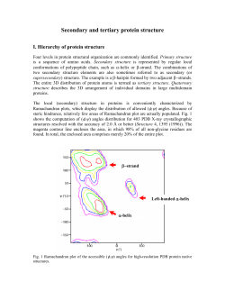 Secondary and tertiary protein structure