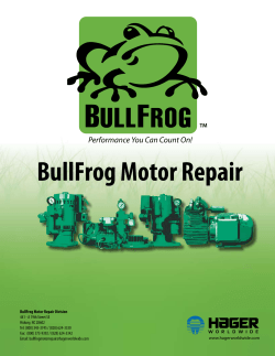 BullFrog Motor Repair - Hager Worldwide Home