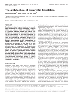 The architecture of eukaryotic translation