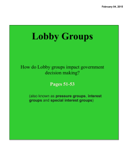 Lobby Groups