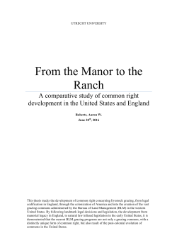 From the Manor to the Ranch - Institutions for Collective Action