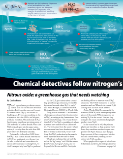 Chemical detectives follow nitrogen`s elusive and e