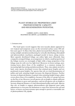 plant hydraulic properties limit photosynthetic capacity and