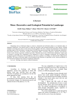 Moss: Decorative and Ecological Potential in Landscape