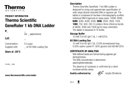 Thermo Scientific GeneRuler 1 kb DNA Ladder