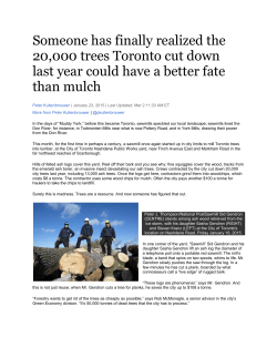 Someone has finally realized the 20,000 trees Toronto cut down last