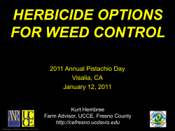 herbicide options for weed control