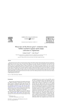 evaluation of the Taliban crackdown against opium poppy cultivation