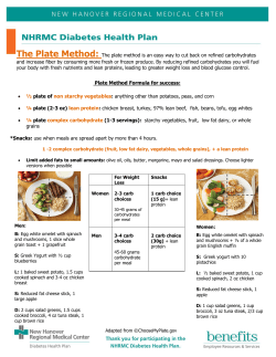 Plate Method for Success Handout