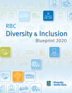 Diversity Blueprint